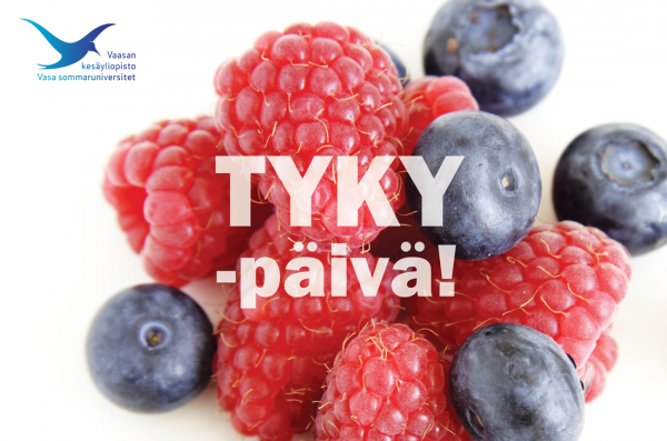 tyky3